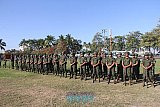 March of Loyalty