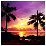 Lea Michele falls in love with Puerto Vallarta