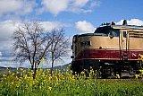 Amour Aboard the Napa Valley Wine Train