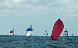 MexOrc Regatta!