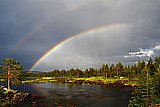Rainbows: What is and how the rainbow is formed?