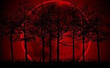 Blood moon: Sky gazers mesmerized as red hue lights up night sky