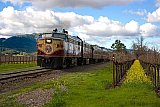 Amour Aboard the Napa Valley Wine Train