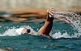 4th tournament of Openwater Riviera Nayarit