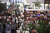 Mexico Romps Back Into The Tourism Game