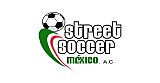 Selected Tour "Street Soccer 2014"