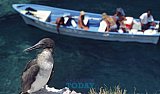 The Riviera Nayarit is a Bird Watcher&rsquo;s Paradise
