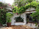 The Beautiful Doors and Entrances of The Homes in Bucerias, Mexico