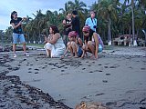 2nd Sea Turtle Festival at Playa Platanitos