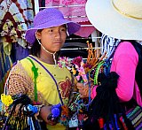 Earth Roamers in Vallarta
