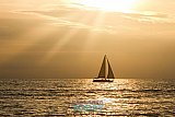 Golden Sail - Vallarta Today Facebook Covers