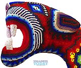 Earth Roamers in Vallarta