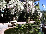 Krystal International Vacation Club Shares a Summer Trip to the Puerto Vallarta Botanical Gardens