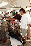 Puerto Vallarta Fishing Tournament Finished - Opequimar Was The Winner