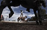Mexico celebrates the animal at the heart of its cowboy tradition, the 'charrer&iacute;a' horse