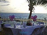 Vallarta Weddings by Monique