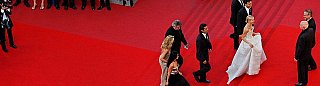 Cannes Film Festival 2014: A Preview