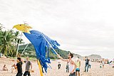 Festival Sinergiarte 2013 - San Pancho&rsquo;s Sinergiarte Announces Festival, Fundraising Campaign