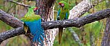 Krystal International Vacation Club Shares a Summer Trip to the Puerto Vallarta Botanical Gardens