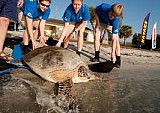 2nd Sea Turtle Festival at Playa Platanitos