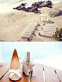 Vallarta Weddings by Monique