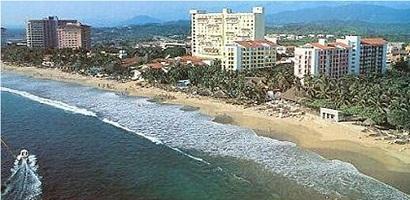 palmar