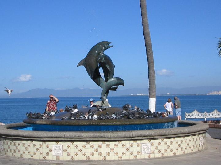 IMG 3316