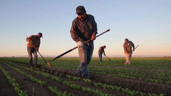 WalMart Mexico Labor