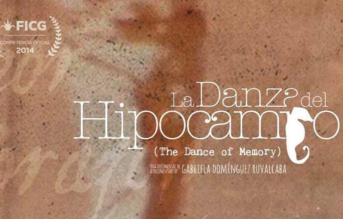 cover day17 hipocampo