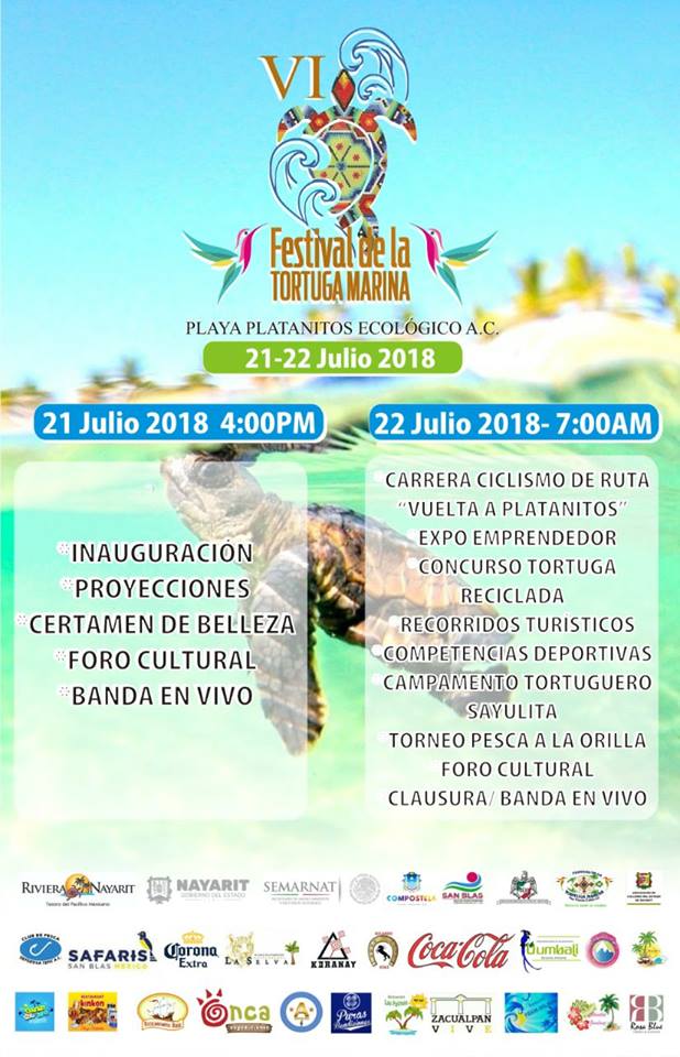 festival tortuga 35545476 860438347491149 6921020818872860672 n