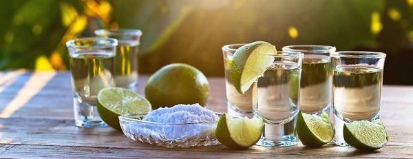 tequila tour vallarta