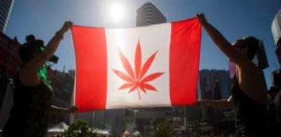 marihuana