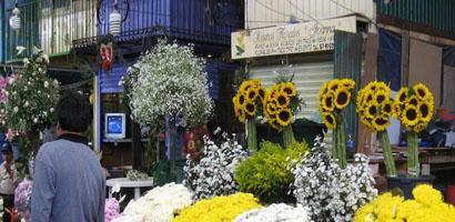 flowersfront
