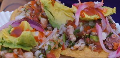 cevichefronttt