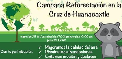 reforestacionfront