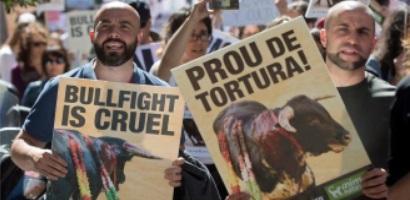 bullfightfront