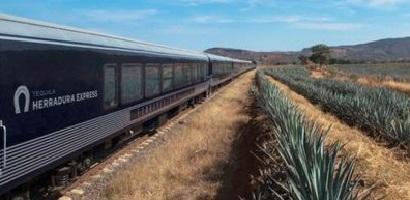 trainsfront