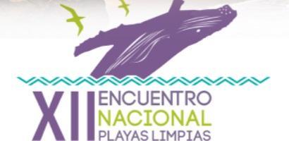 playalimpiafront