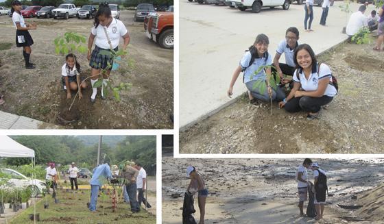Reforestacion