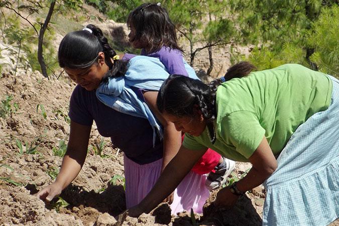 Mexico MigrantWorkers May2016 Archivo IMUMI 5 675x450