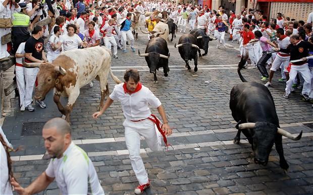Running-of-the-Bul 2964556b