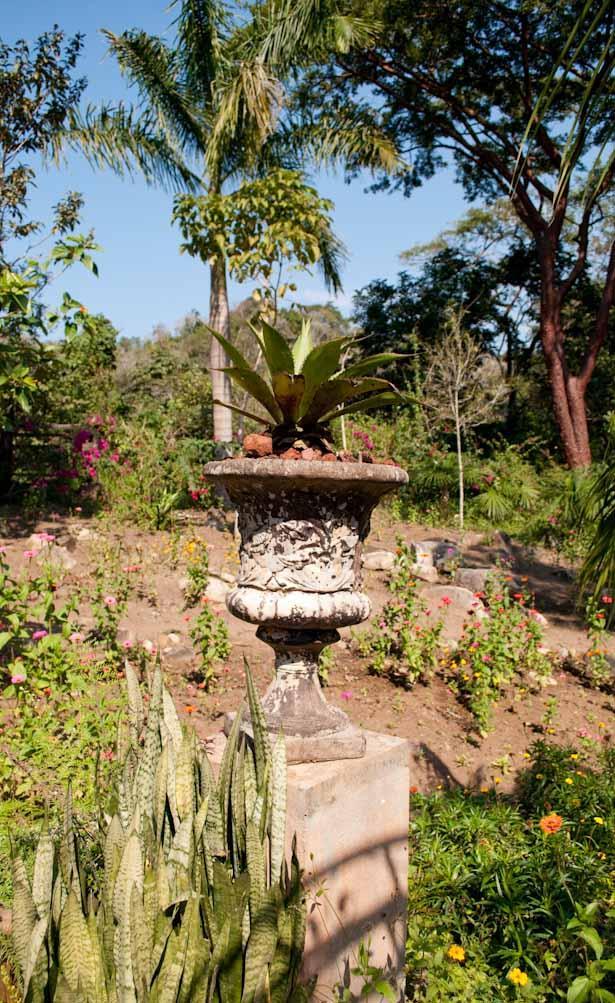 Vallarta-Botanical-Gardens-3