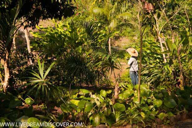 Vallarta-Botanical-Gardens-8