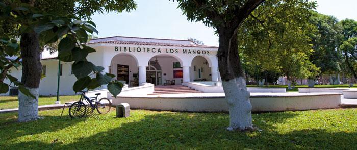 a-losmangos-4