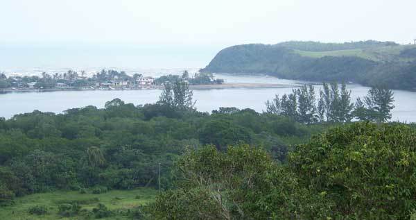 e labarra large