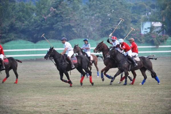 POLO1
