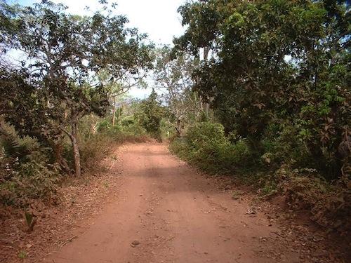 03-Sometimes-the-road-is-like-a-tunnel