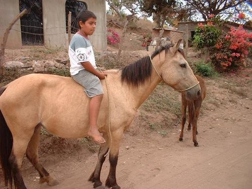 19-A-boy-and-his-horse