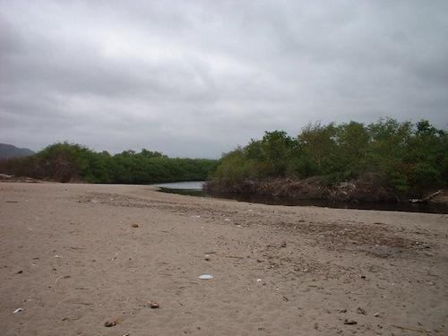 25-The-estuary-starts-here1