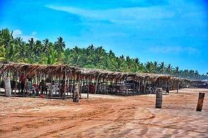 Playa Nov